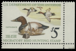 Scan of RW42 1975 Duck Stamp 