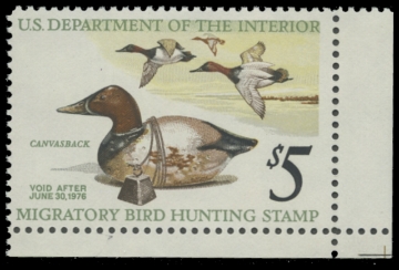 Scan of RW42 1975 Duck Stamp 