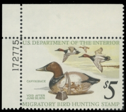 Scan of RW42 1975 Duck Stamp 