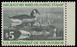 Scan of RW43 1976 Duck Stamp 
