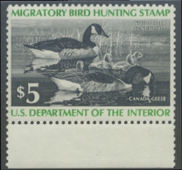 Scan of RW43 1976 Duck Stamp 