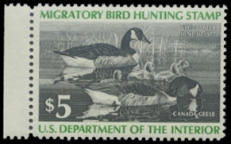 Scan of RW43 1976 Duck Stamp 