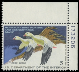 Scan of RW44 1977 Duck Stamp 