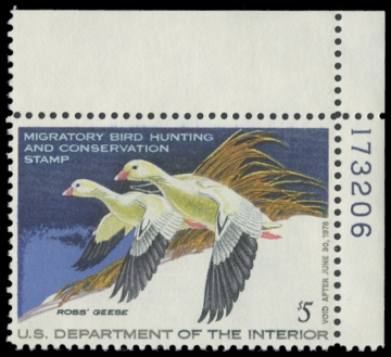 Scan of RW44 1977 Duck Stamp 