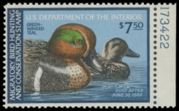 Scan of RW46 1979 Duck Stamp 
