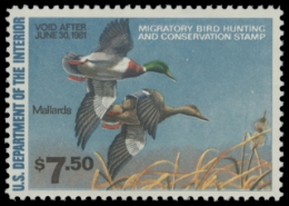 Scan of RW47 1980 Duck Stamp 
