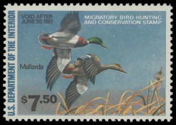 Scan of RW47 1980 Duck Stamp 