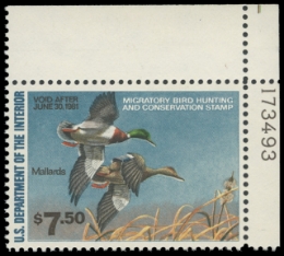 Scan of RW47 1980 Duck Stamp 