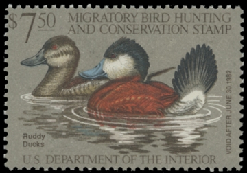 Scan of RW48 1981 Duck Stamp 