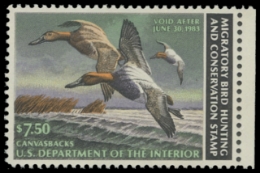 Scan of RW49 1982 Duck Stamp 