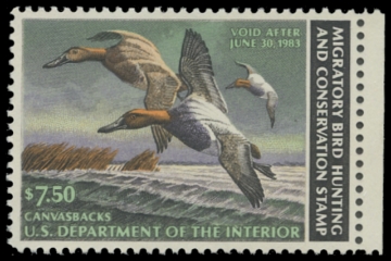 Scan of RW49 1982 Duck Stamp 