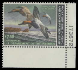 Scan of RW49 1982 Duck Stamp 
