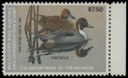 Scan of RW50 1983 Duck Stamp 
