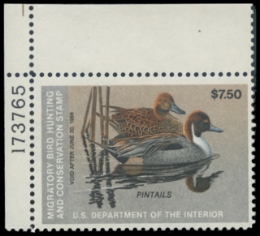 Scan of RW50 1983 Duck Stamp 
