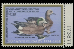 Scan of RW51 1984 Duck Stamp 