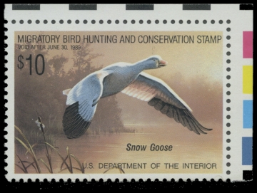 Scan of RW55 1988 Duck Stamp 