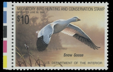 Scan of RW55 1988 Duck Stamp 