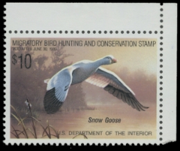 Scan of RW55 1988 Duck Stamp 