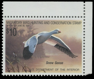 Scan of RW55 1988 Duck Stamp 