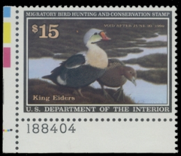 Scan of RW58 1991 Duck Stamp 