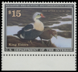 Scan of RW58 1991 Duck Stamp 