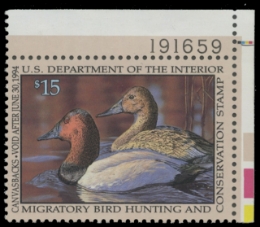 Scan of RW60 1993 Duck Stamp 