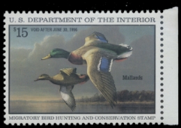 Scan of RW62 1995 Duck Stamp 