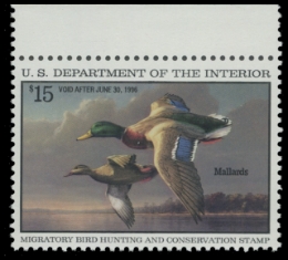 Scan of RW62 1995 Duck Stamp 