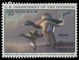 Scan of RW62 1995 Duck Stamp 