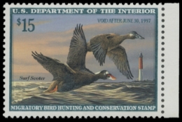 Scan of RW63 1996 Duck Stamp 