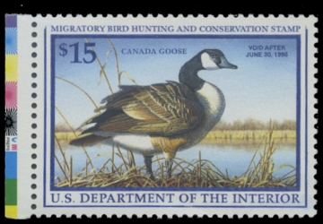 Scan of RW64 1997 Duck Stamp 