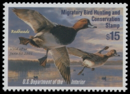 Scan of RW71 2004 Duck Stamp 
