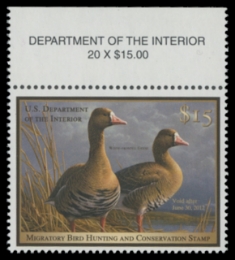 Scan of RW78 2011 Duck Stamp 