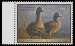 Scan of RW78 2011 Duck Stamp 