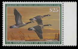 Scan of RW84 2017 Duck Stamp 