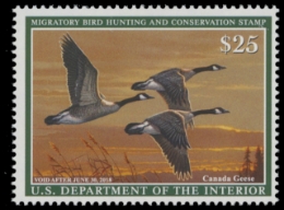 Scan of RW84 2017 Duck Stamp 