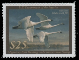 Scan of RW90 2023 Duck Stamp 