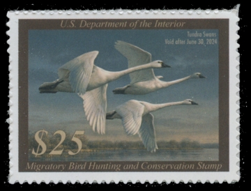 Scan of RW90 2023 Duck Stamp 