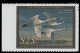 Scan of RW90 2023 Duck Stamp 