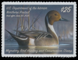 Scan of RW91 2024 Duck Stamp 