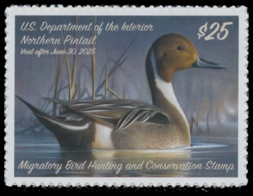 Scan of RW91 2024 Duck Stamp 
