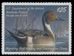 Scan of RW91 2024 Duck Stamp 