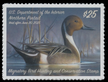 Scan of RW91 2024 Duck Stamp 