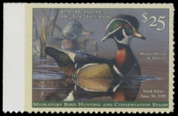 Scan of RW86 2019 Duck Stamp 