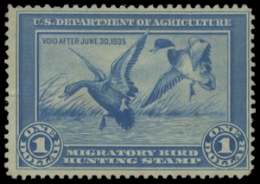 Scan of RW1 1934 Duck Stamp. Unsigned