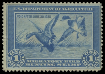 Scan of RW1 1934 Duck Stamp. Unsigned