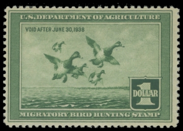 Picture of RW4 1937 Duck Stamp. Unsigned