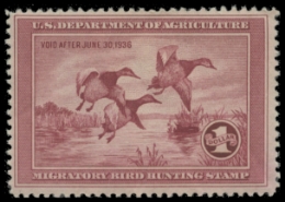 Picture of RW2 1935 Duck Stamp. MLH