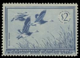 Picture of RW22 1955 Duck Stamp 