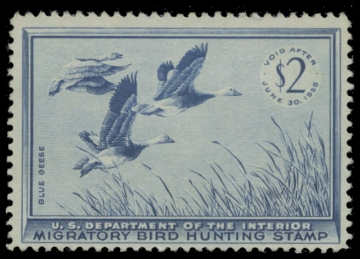 Picture of RW22 1955 Duck Stamp 
